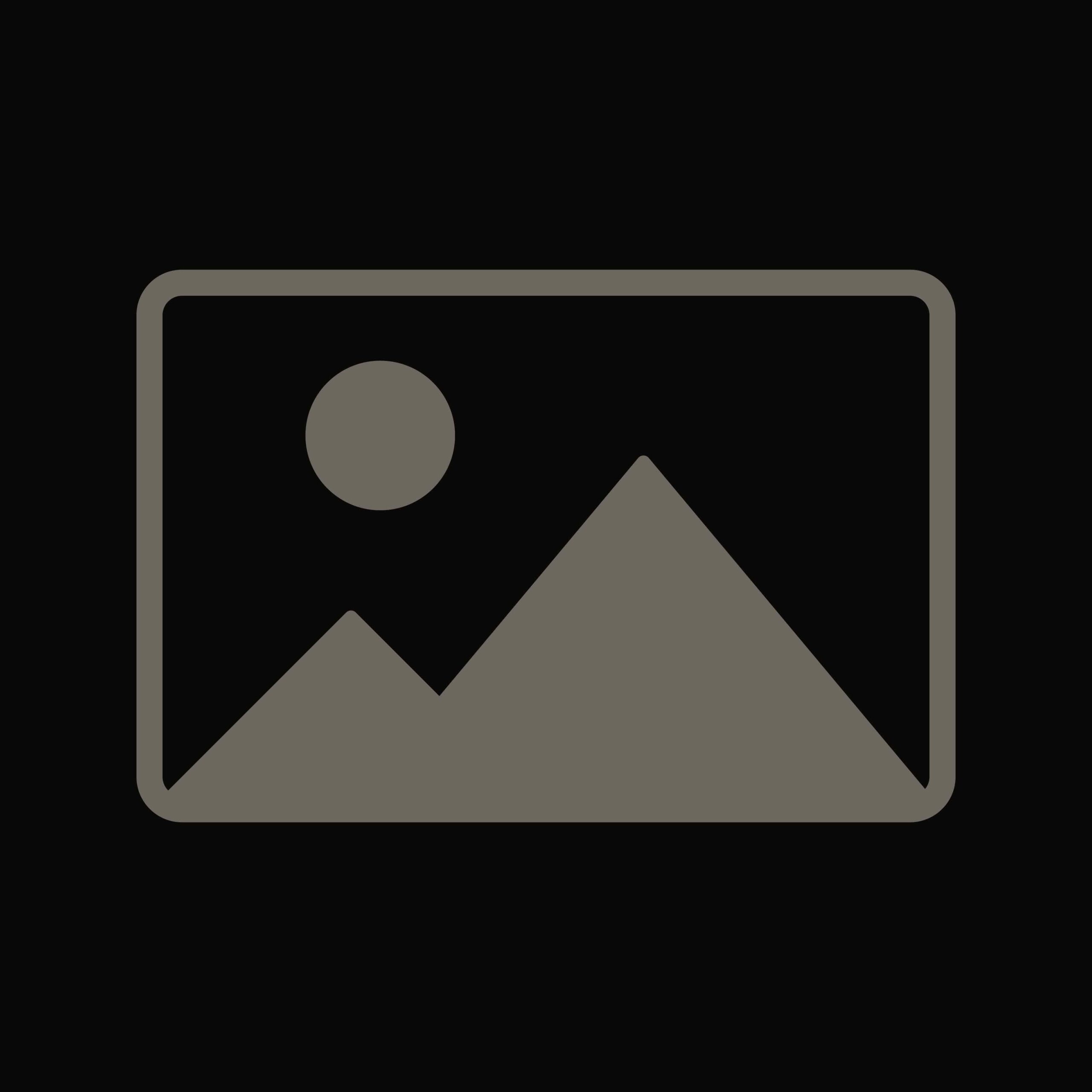 placeholder-image-inverted